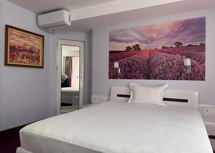 Hotel Dafi